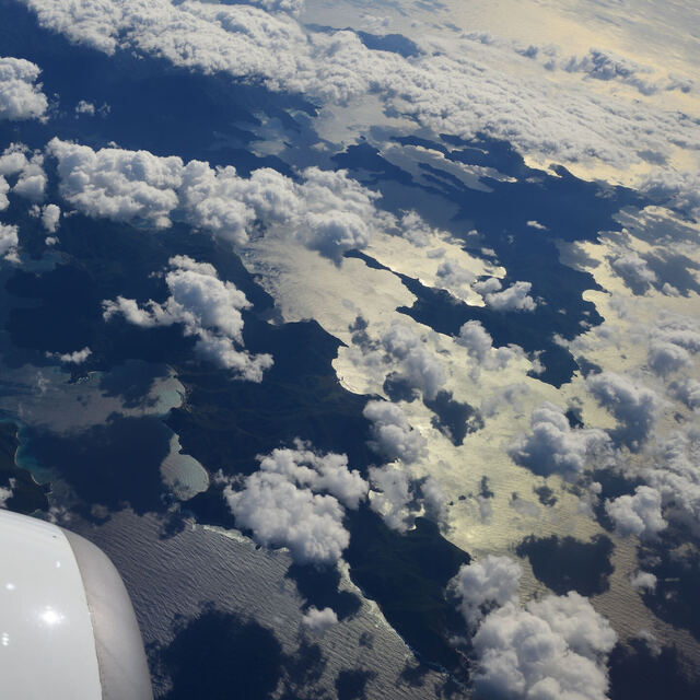 D56_0496.jpeg