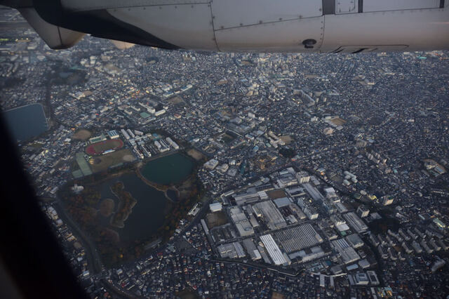 D56_0644.jpeg