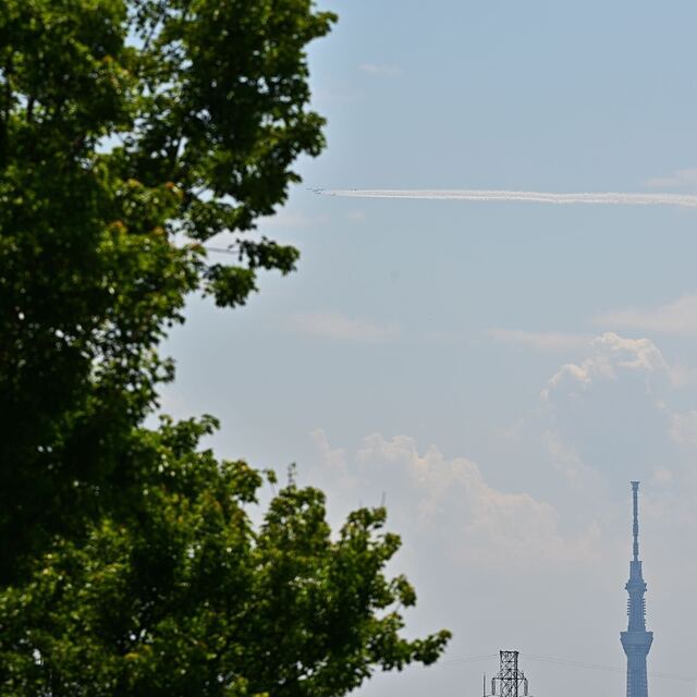 DFI_6209-8e710-82acd.jpeg