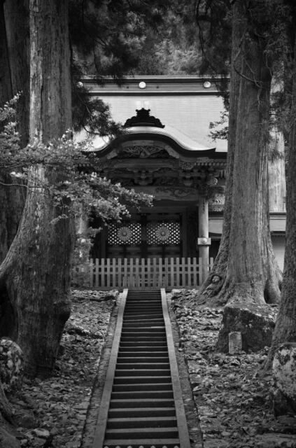 DSC_0004.jpeg