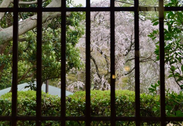 DSC_0007-647d7.jpeg