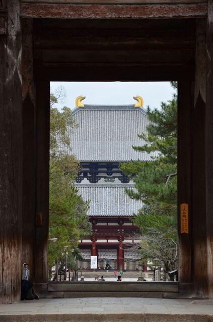 DSC_0007.jpeg