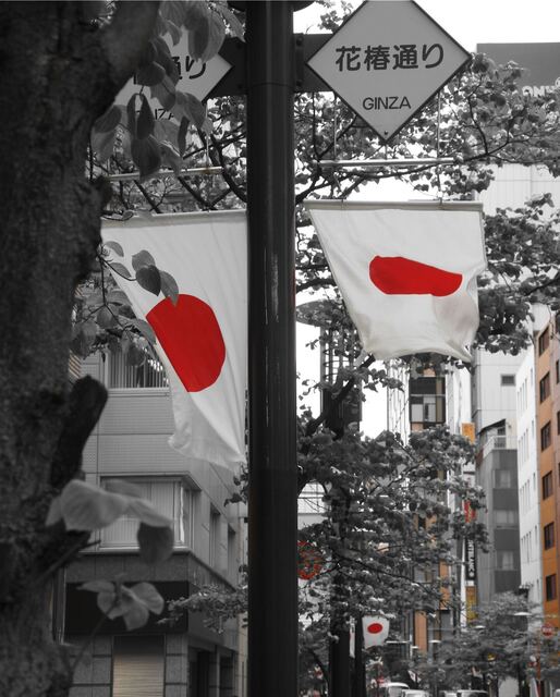 DSC_0151-0c7b6-8f965.jpeg