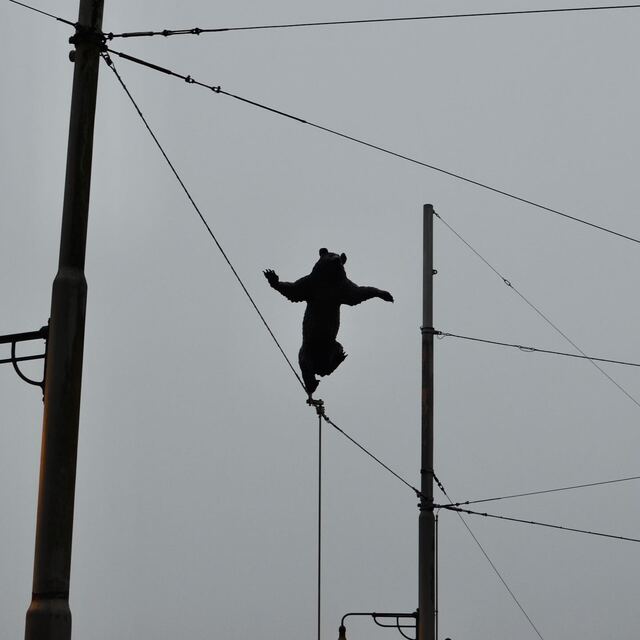 DSC_0286.jpeg