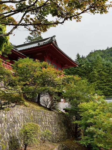 DSC_0508-5dacb-359b7.jpeg