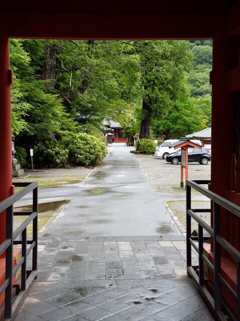 DSC_0510-ef408-1ef6b.jpeg