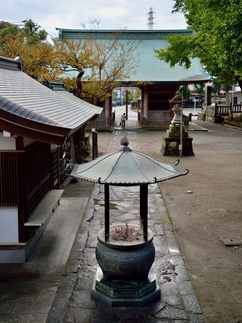 DSC_0779-77f49-857b6.jpeg