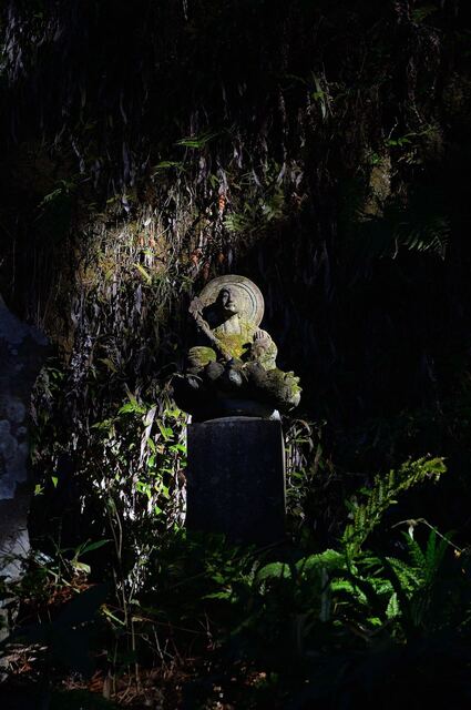 DSC_0890.jpeg