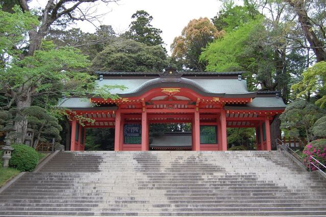 DSC_1044-b074c.jpeg