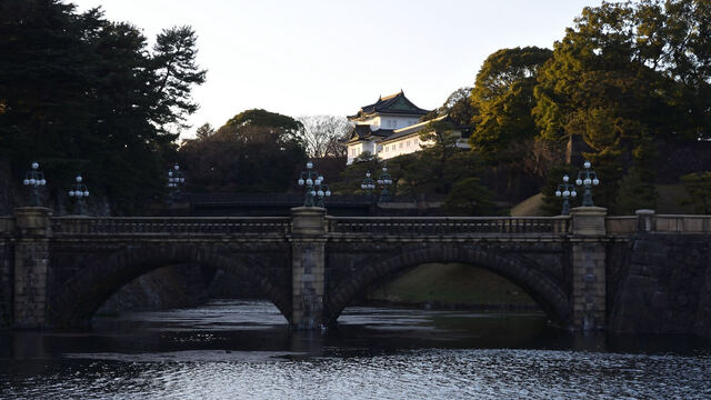 DSC_1351.jpeg