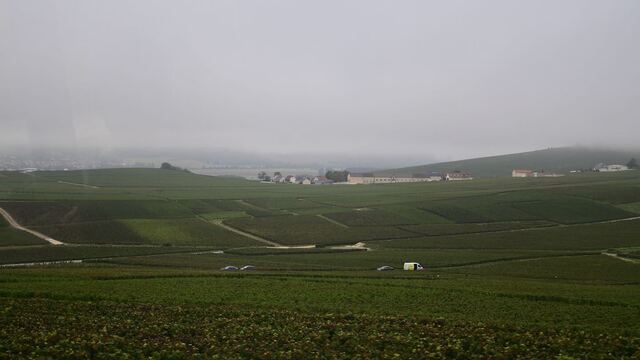 DSC_1454.jpeg