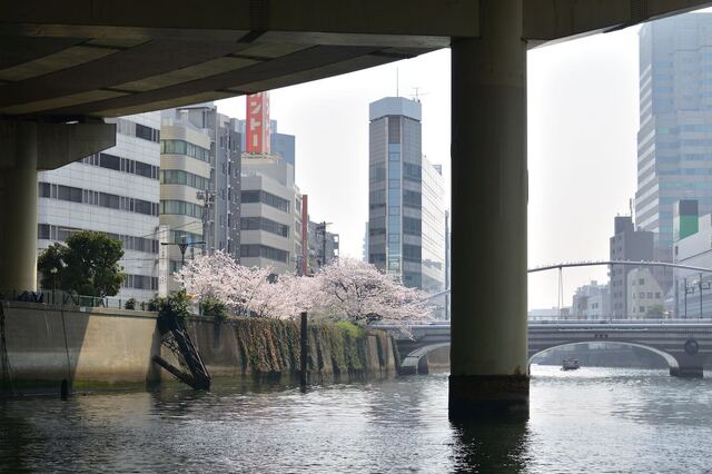 DSC_2348.jpeg