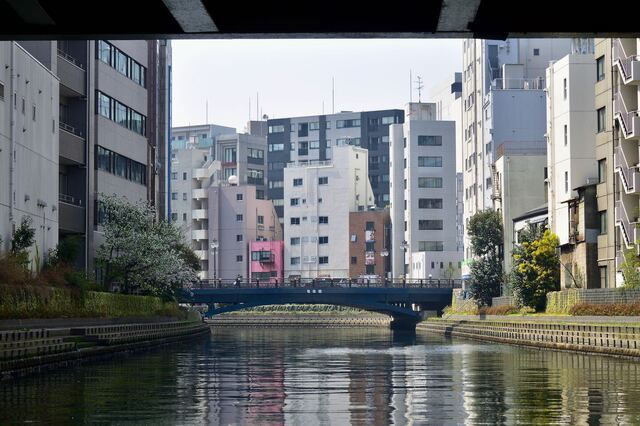 DSC_2349.jpeg