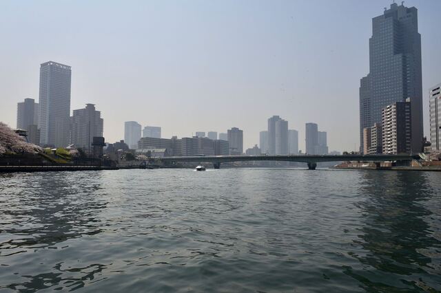 DSC_2357.jpeg