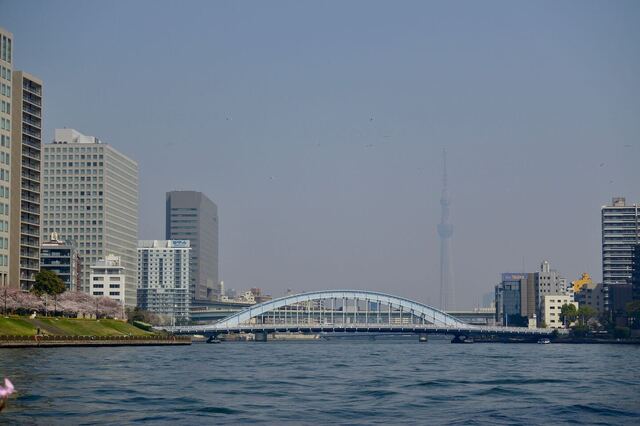 DSC_2361.jpeg