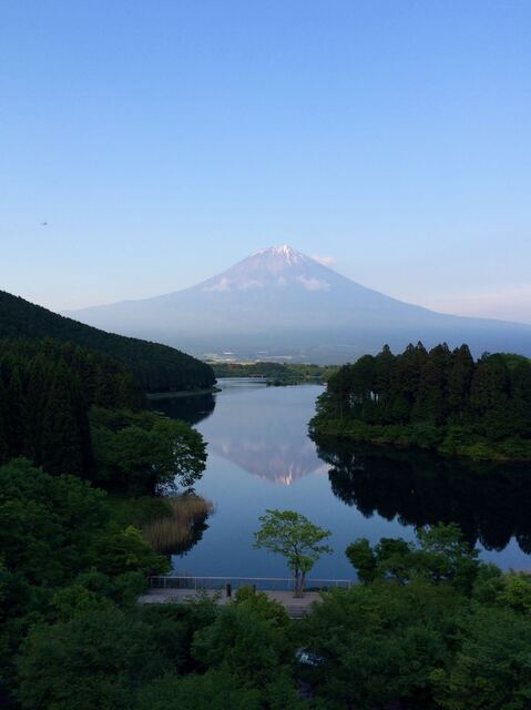 IMG_1154.jpeg