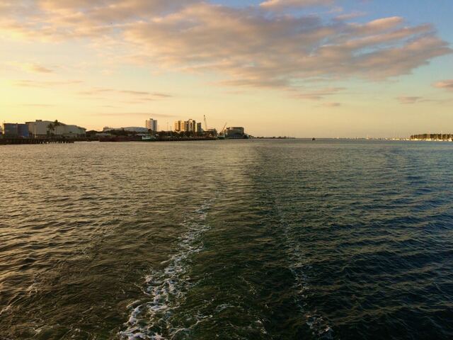 IMG_1415.jpeg