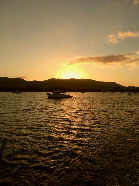 IMG_1418.jpeg