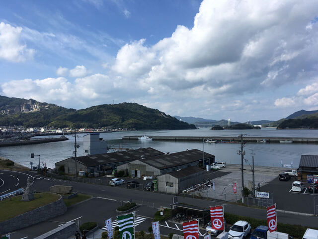IMG_2505.jpeg